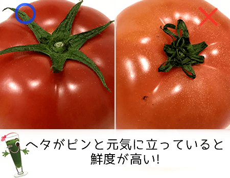 トマトのヘタ