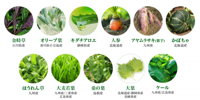 美-菜に配合されている野菜の写真