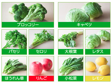 緑でサラナに使われている10種の素材